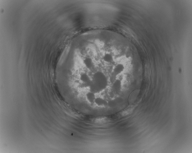 X0000071760173200607282156