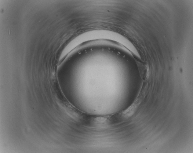 X0000071760176200607282157