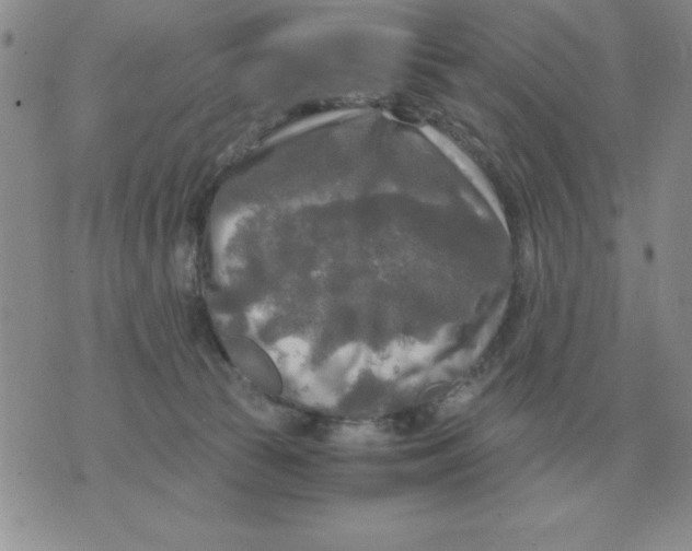 X0000071760177200607282157