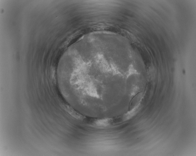 X0000071760178200607282157