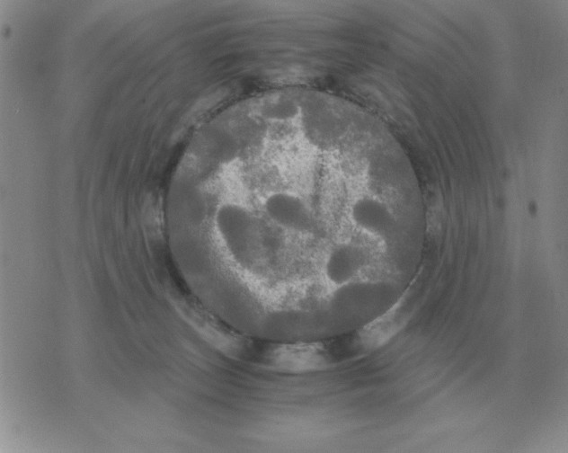 X0000071760179200607282157