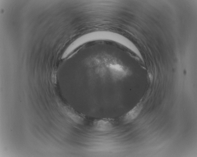 X0000071760180200607282157