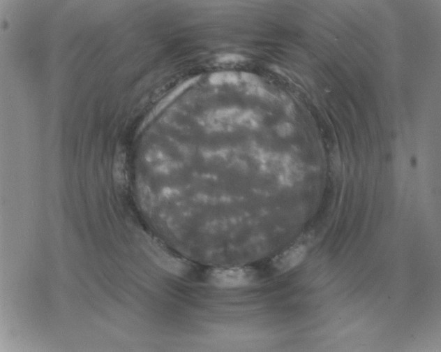 X0000071760181200607282157