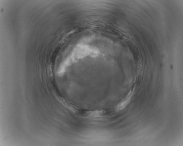 X0000071760182200607282157