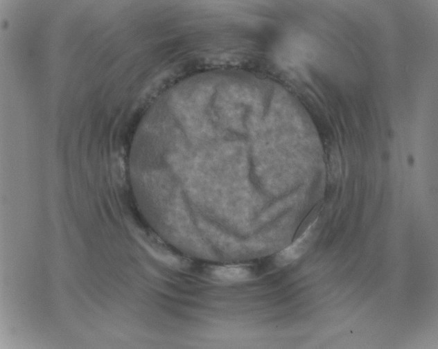 X0000071760183200607282157