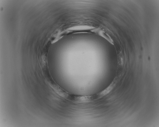 X0000071760184200607282157