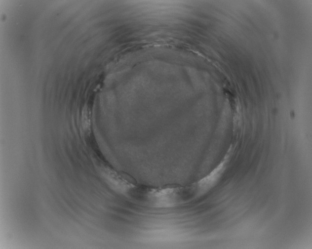 X0000071760186200607282157