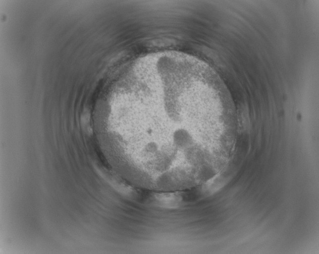 X0000071760187200607282157