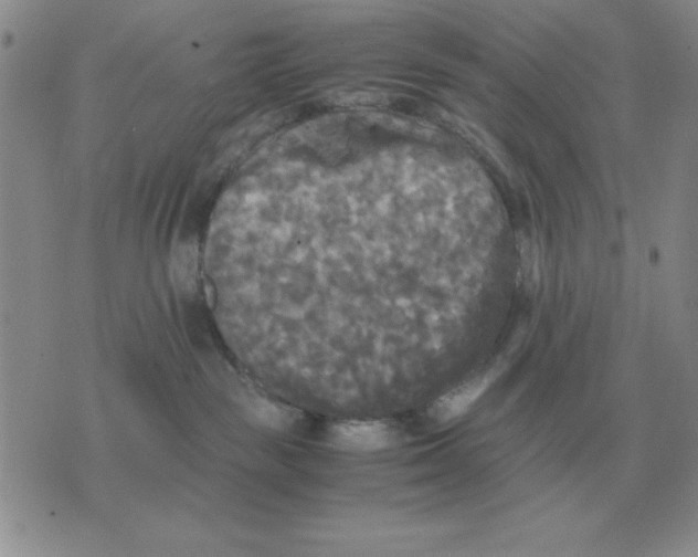 X0000071760189200607282157