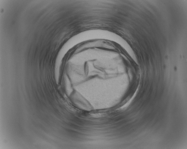 X0000071760190200607282157