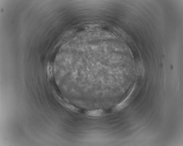 X0000071760191200607282157