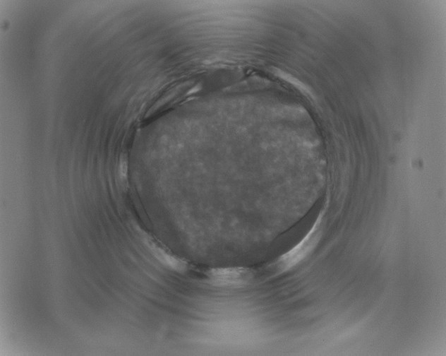 X0000071760192200607282157