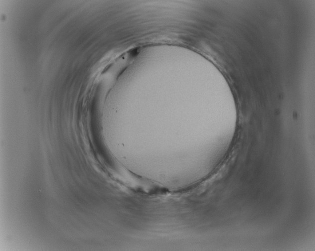 X0000071760193200607282156