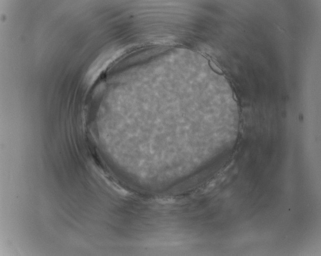 X0000071760194200607282156