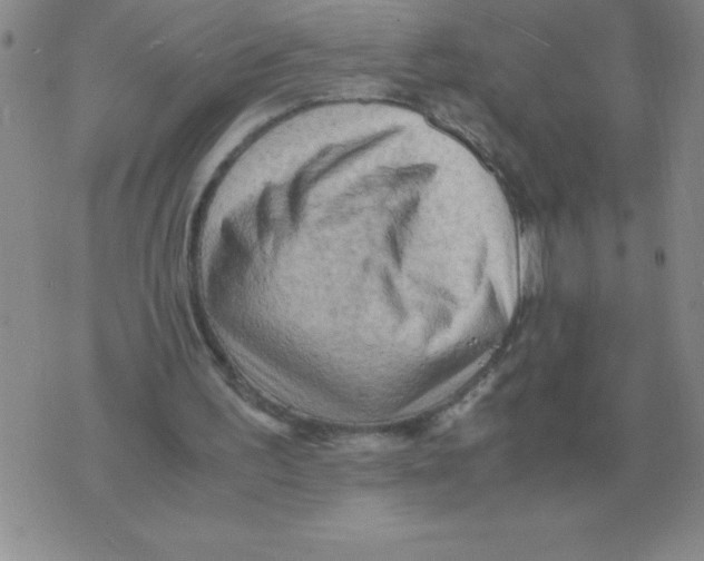 X0000071760195200607282156