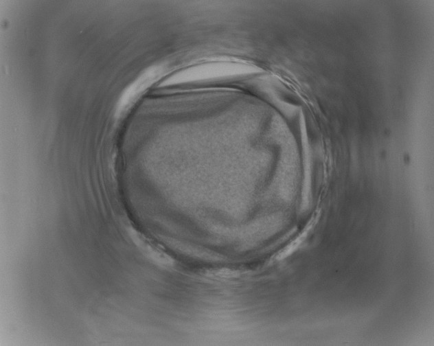 X0000071760197200607282156