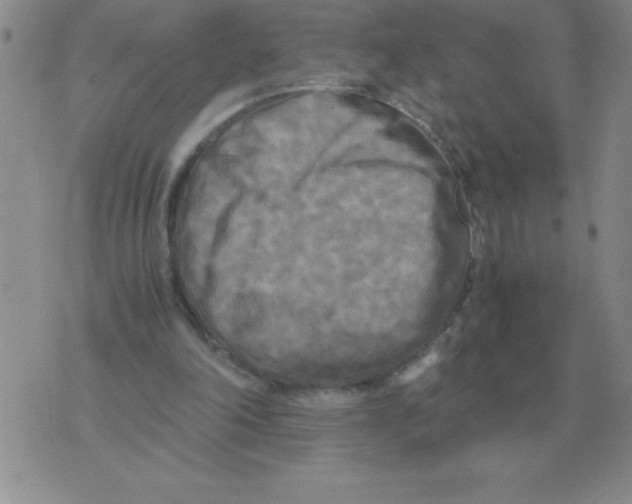 X0000071760198200607282156