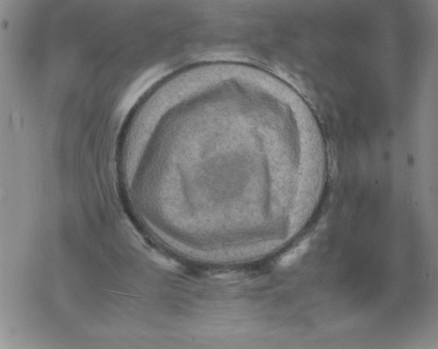 X0000071760199200607282156