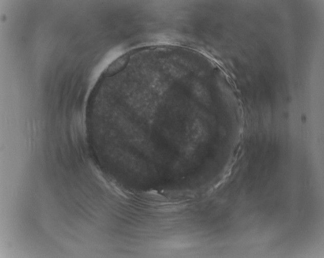 X0000071760200200607282156