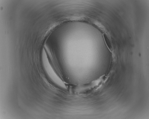 X0000071760201200607282156