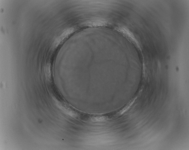 X0000071760202200607282156