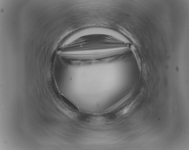 X0000071760203200607282156