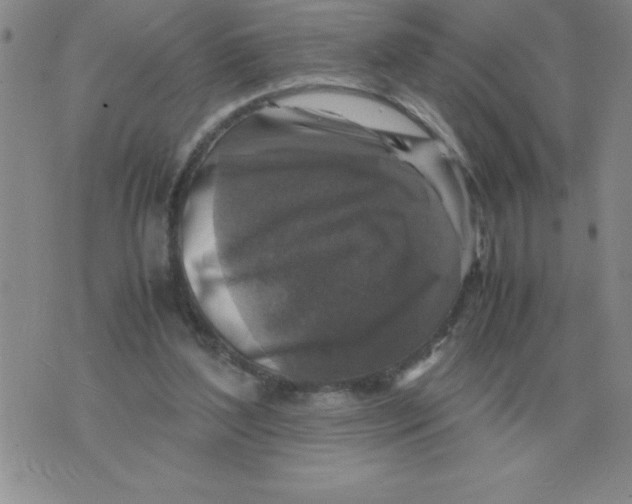 X0000071760204200607282156