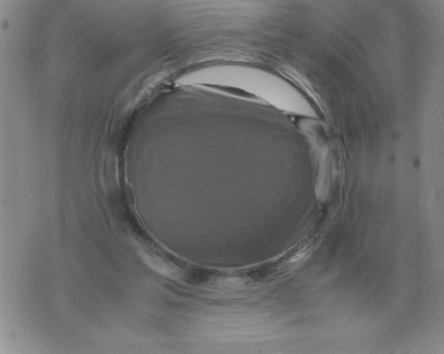 X0000071760205200607282156