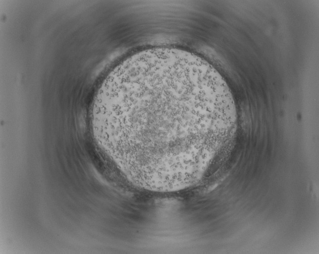 X0000071760208200607282156