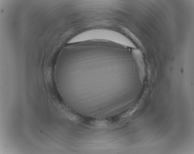 X0000071760209200607282156