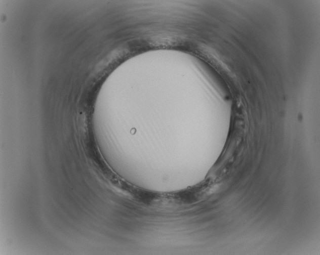 X0000071760211200607282156