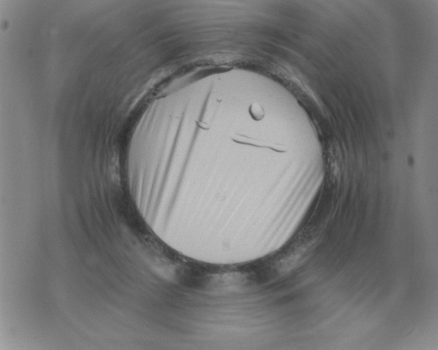 X0000071760212200607282156