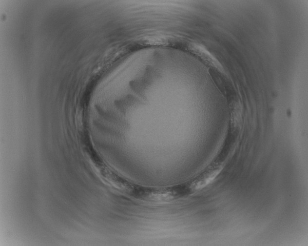 X0000071760213200607282156