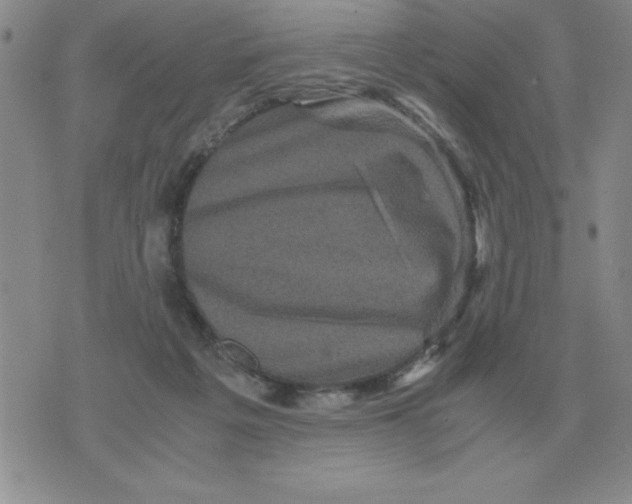 X0000071760217200607282156