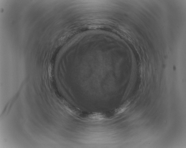 X0000071760219200607282156