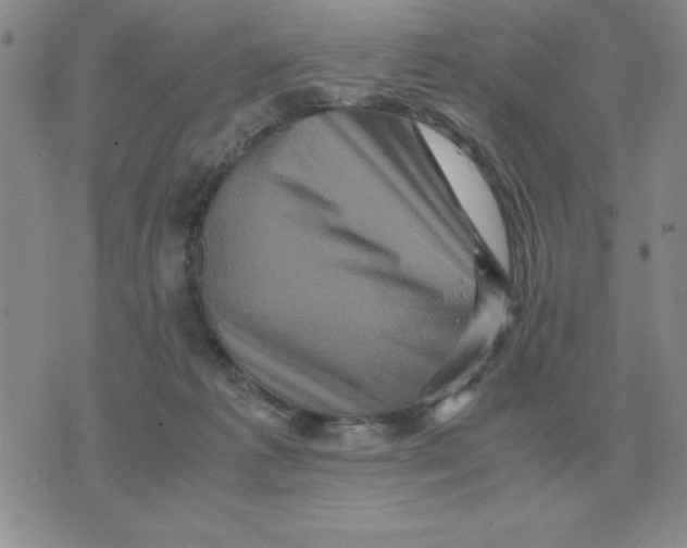 X0000071760221200607282156