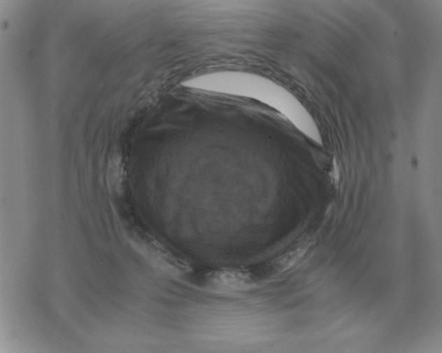 X0000071760223200607282156