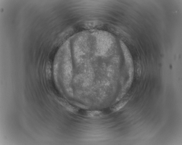 X0000071760226200607282156