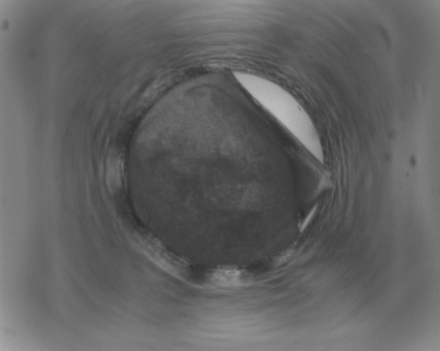 X0000071760227200607282155