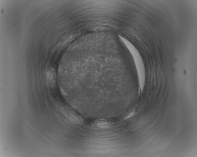 X0000071760228200607282155