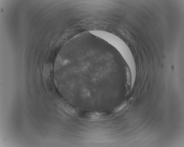 X0000071760229200607282155