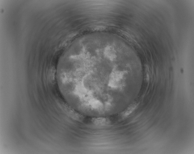 X0000071760230200607282155