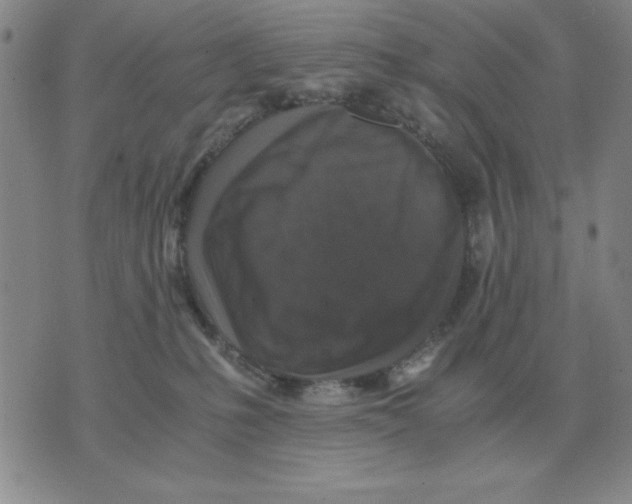 X0000071760231200607282155