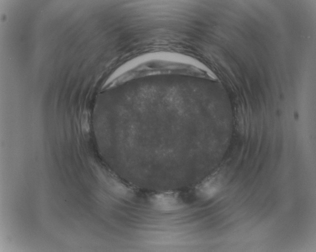 X0000071760232200607282155