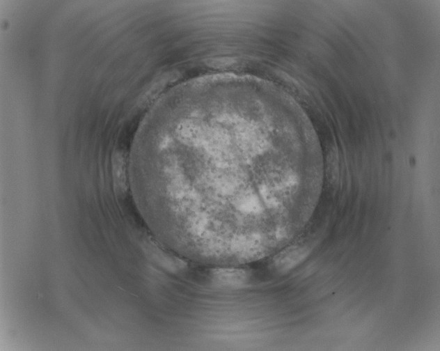 X0000071760234200607282155