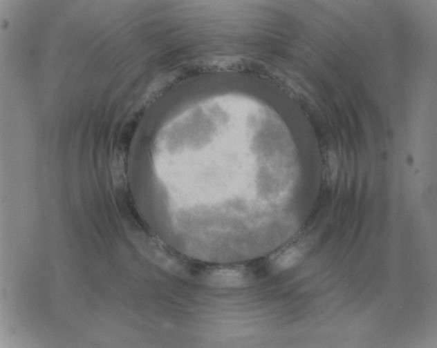 X0000071760236200607282155