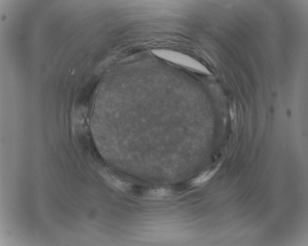 X0000071760237200607282155