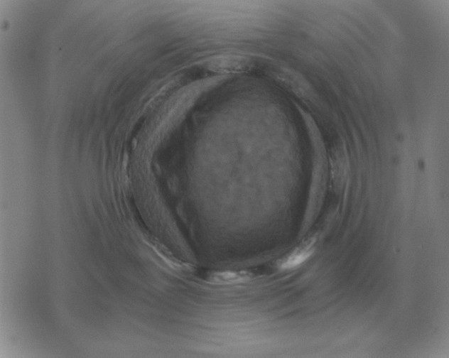 X0000071760239200607282155