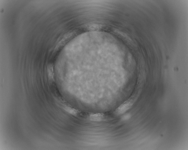 X0000071760240200607282155