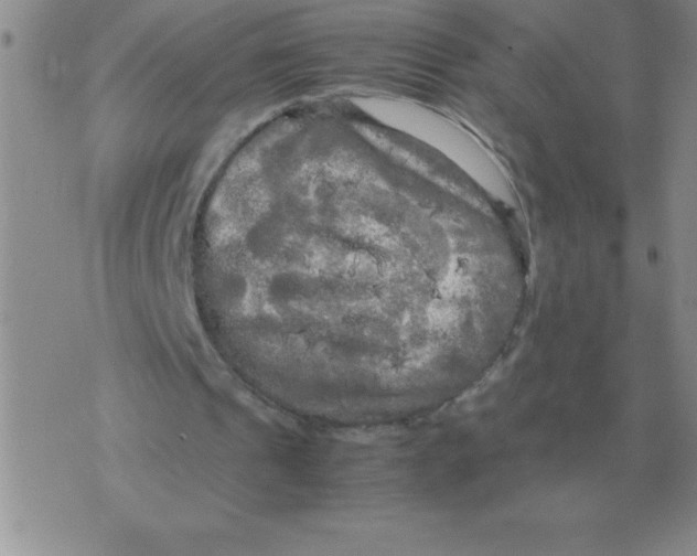 X0000071760241200607282155